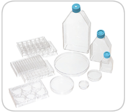 Thermo Scientific BioLite Cell Culture Products
